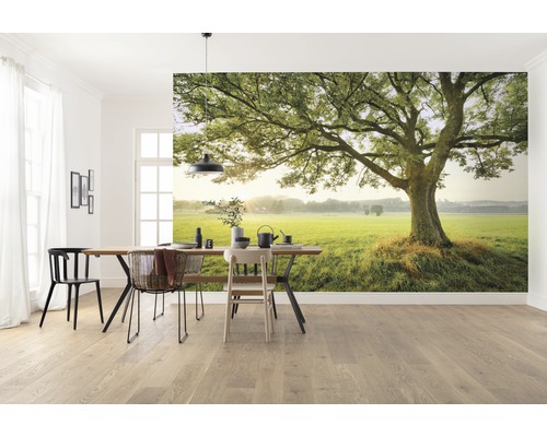 Cameră de zi cu fototapet care prezintă un copac pe o pajiște verde.