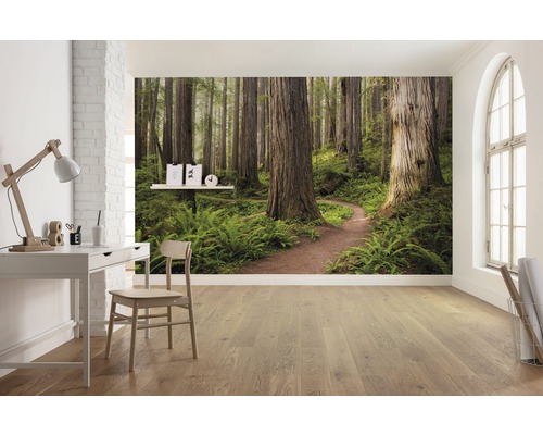 Cameră luminoasă cu birou, scaun și fototapet cu motiv cu pădure