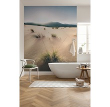 Fototapet vlies SHX9-091 Vivid Dunes 450x280 cm