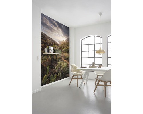 Sufragerie cu fototapet cu un peisaj montan cu cactuși