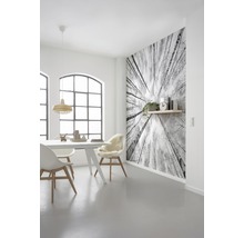 Fototapet vlies SHX9-093 White-Blue 450x280 cm