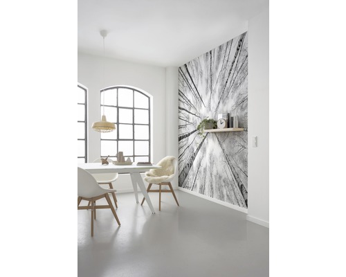 Zonă de luat masa luminoasă cu masă, scaune și un fototapet cu motiv de coroane de copaci