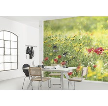 Fototapet vlies SHX9-094 Meadow Magic II 450x280 cm