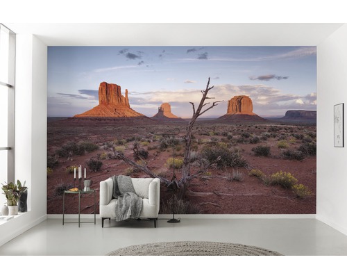 Cameră de zi cu fototapet deșert