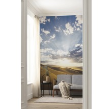 Fototapet vlies SHX4-100 Desert Magic 200x280 cm