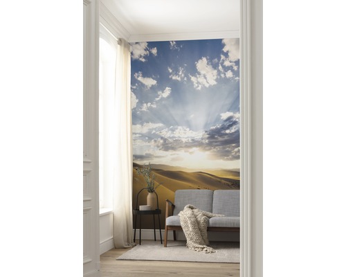 Cameră de zi cu fototapet care prezintă un peisaj deșertic cu cer și nori
