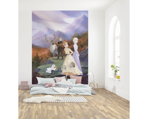 Cameră cu fototapet cu motivul Frozen