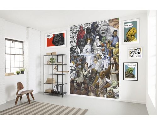 Cameră cu pictură murală Star Wars, rafturi și articole decorative