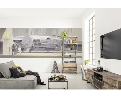 Cameră de zi cu canapea, raft, dulap media și pictură murală Star Wars