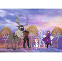 Scenă cu personaje din filmul Regatul de gheață 2, inclusiv renul Sven, Kristoff, omul de zăpadă Olaf, Elsa și Anna.