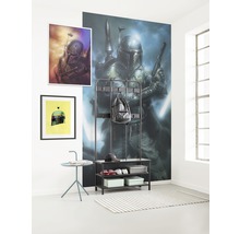 Fototapet vlies DX3-034 Disney Edition 4 Star Wars Classic Bounty Hunte 150x280 cm