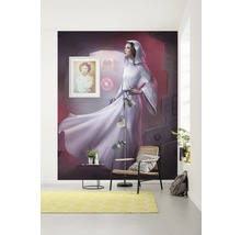 Fototapet vlies DX4-046 Disney Edition 4 Star Wars Classic Leia 200x250 cm