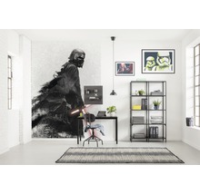 Fototapet vlies DX4-074 Disney Edition 4 Star Wars Kylo Vader Shadow 200x280 cm