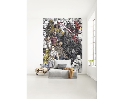 Living cu fototapet Star Wars și canapea gri