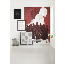 Fototapet vlies DX4-076 Disney Edition 4 Star Wars Supreme Leader 200x280 cm