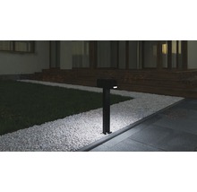 Alei de grădină iluminată cu gazon și stâlp de iluminat