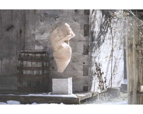 Plantă ambalată în grădină de iarnă cu fundal din lemn