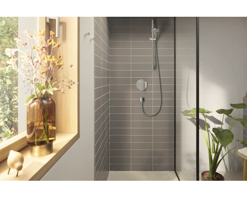 Baie modernă cu cabină de duș, baterie și plantă.