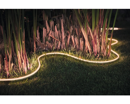 Lumină LED flexibilă în grădină cu plante