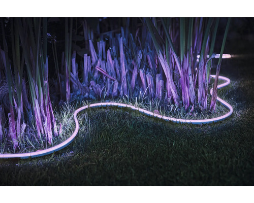 Bandă luminoasă decorativă în grădină printre plante