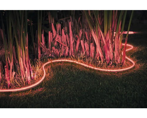 Șir luminos decorativ în grădină printre plante