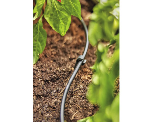 Furtun de irigare cu țăruș de pământ în grădină pentru irigarea plantelor