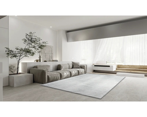 Living cu canapea, covor și plantă de interior