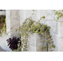 Element gard de jumătate Elis Siena crem 24x20x18,5 cm-thumb-1