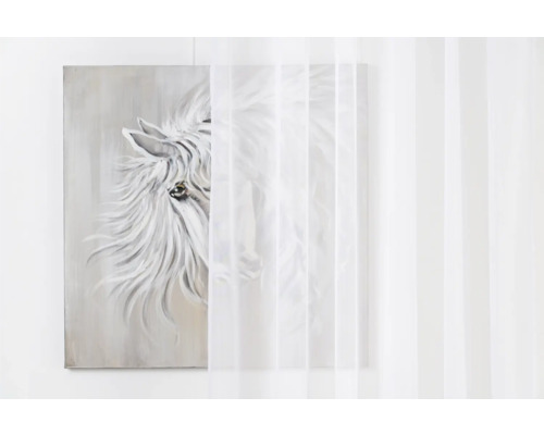 Tablou cu motiv de cal și perdea