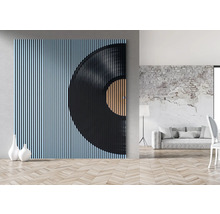 Cameră de zi cu panou de perete cu design de disc de vinil