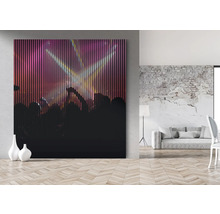 Imagine decorativă de perete cu motiv de concert pentru interioare