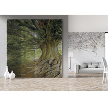 Cameră cu decor de perete cu lamele din lemn, cu vedere la copac