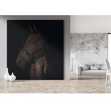 Tablou mare de perete cu portret de cal într-un living modern