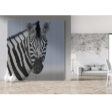 Spațiu de locuit cu pânză decorativă cu zebră