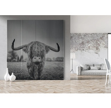 Tablou decorativ de perete cu bovine scoțiene Highland în format peisaj