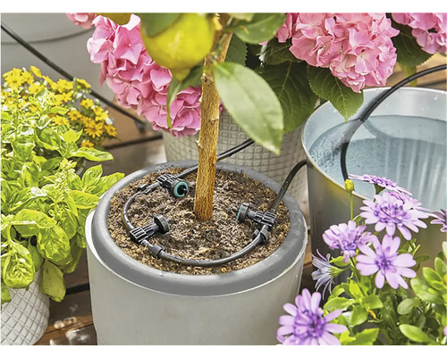 Sistem de irigare pentru flori cu plante în ghivece și rezervor de apă
