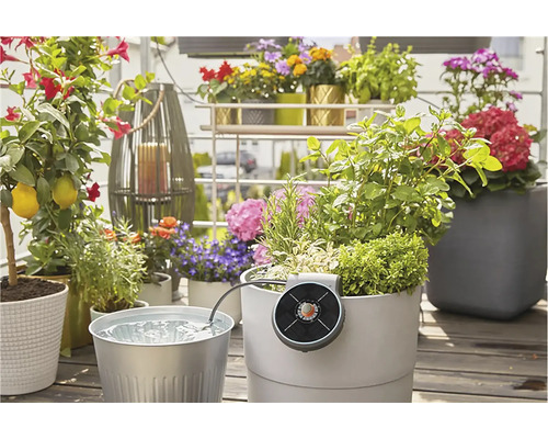 Fotografie a unei scene de balcon cu diverse plante și un sistem de irigare