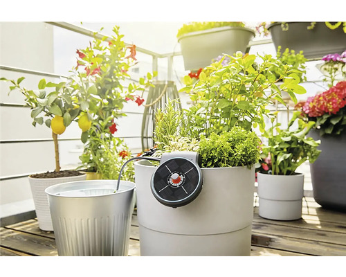 Balcon cu plante în ghivece și sistem de irigare solar