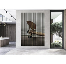 Imagine de perete decorativă cu motiv avion într-o cameră modernă