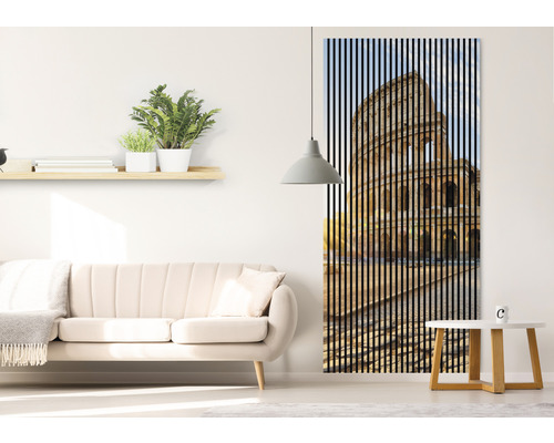 Cameră de zi cu canapea, raft și panou acustic cu o imagine a Colosseumului