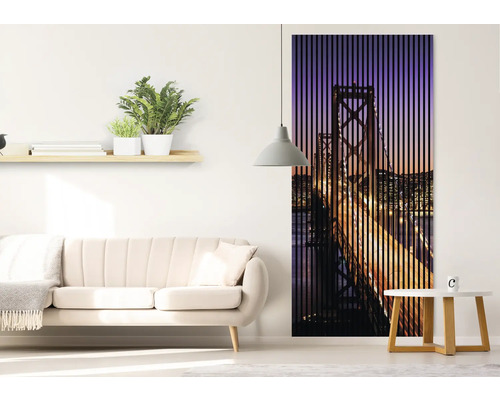 Living cu canapea, raft și paravan cu o imagine cu pod.