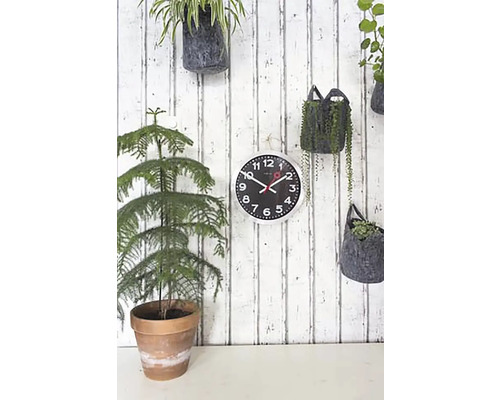 Ceas de perete cu plante pe un lambriu din lemn