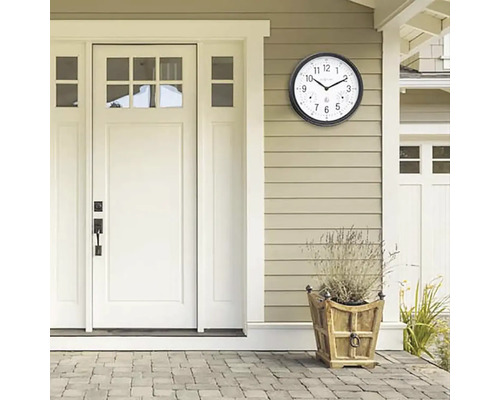 Scenă cu un ceas de exterior cu termometru pe un perete lângă o ușă și un ghiveci de flori.