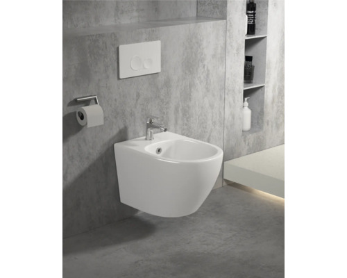 Bideu suspendat cu robinet, rezervor de apă și suport pentru hârtie igienică într-o baie.