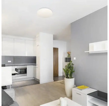 Spațiu de locuit luminos cu lampă de tavan și mobilier modern
