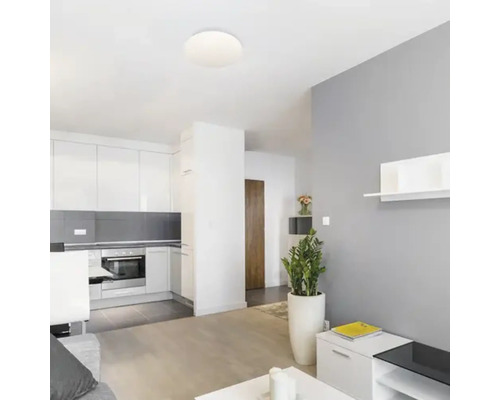 Spațiu de locuit luminos cu lampă de tavan și mobilier modern