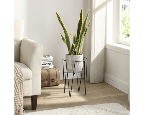 Cameră cu fotoliu, plantă în ghiveci pe un suport de plante și obiecte decorative.