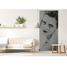 Cameră de zi cu canapea, raft cu plante și tablou mural cu dungi verticale care arată o față
