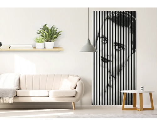 Cameră de zi cu canapea, raft cu plante și tablou mural cu dungi verticale care arată o față