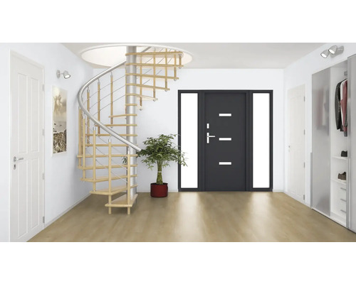 Hol luminos cu scară spiralată, ușă de intrare și dulap de garderobă.